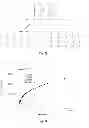 Fig. 03 - Self-healing material and method for the preparation thereof