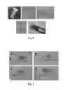 Fig. 04 - Self-healing material and method for the preparation thereof