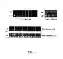 Fig. 12 - Media comprising a glutamine biosensor and methods of use thereof