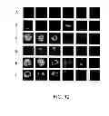 Fig. 13 - Media comprising a glutamine biosensor and methods of use thereof