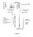 Fig. 16 - Media comprising a glutamine biosensor and methods of use thereof
