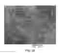 Fig. 29 - Processing biomass