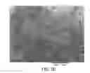 Fig. 31 - Processing biomass