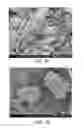 Fig. 34 - Processing biomass