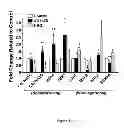 Fig. 06 - INDUCTION OF HUMAN EMBRYONIC STEM CELL DERIVED CARDIAC PACEMAKER OR CHAMBER-TYPE CARDIOMYOCYTES BY MANIPULATION OF NEUREGULIN SIGNALING