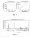Fig. 02 - Method for producing human monoclonal immunoglobuling antibodies