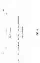 Fig. 05 - EXPRESSION IN INSECT CELLS OF GENES WITH OVERLAPPING OPEN READING FRAMES, METHODS AND COMPOSITIONS THEREFOR