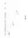 Fig. 15 - EXPRESSION IN INSECT CELLS OF GENES WITH OVERLAPPING OPEN READING FRAMES, METHODS AND COMPOSITIONS THEREFOR