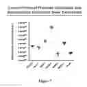 Fig. 08 - Methods for producing insulin-secreting beta cells from human pluripotent stem cells