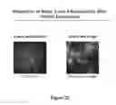 Fig. 25 - Methods for producing insulin-secreting beta cells from human pluripotent stem cells