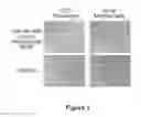 Fig. 05 - TISSUE REPAIR WITH MULTIPOTENT CELLS
