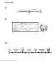 Fig. 06 - Isolated human lung progenitor cells and uses thereof