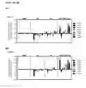 Fig. 08 - Isolated human lung progenitor cells and uses thereof