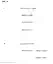Fig. 10 - Isolated human lung progenitor cells and uses thereof