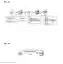 Fig. 11 - Isolated human lung progenitor cells and uses thereof