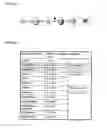 Fig. 12 - Isolated human lung progenitor cells and uses thereof
