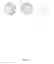 Fig. 09 - THREE-DIMENSIONAL NANOSTRUCTURED HYBRID SCAFFOLD AND MANUFACTURE THEREOF