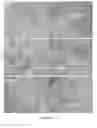 Fig. 13 - THREE-DIMENSIONAL NANOSTRUCTURED HYBRID SCAFFOLD AND MANUFACTURE THEREOF