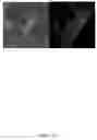 Fig. 18 - THREE-DIMENSIONAL NANOSTRUCTURED HYBRID SCAFFOLD AND MANUFACTURE THEREOF