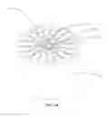 Fig. 07 - Optofluidic microdevice for in-vitro laser surgery and transfection involving cells and microorganisms