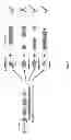 Fig. 12 - Synthetic gene clusters