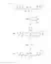 Fig. 02 - Cyanine derivatives having meso-reactive functional group at polymethine chain and preparation method thereof