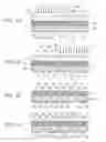 Fig. 03 - Method for manufacturing semiconductor light emitting device