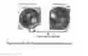 Fig. 04 - Supply source and method for enriched selenium ion implantation