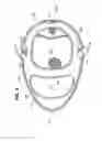 Fig. 07 - Collapsible flotation device