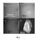 Fig. 05 - Low defect nanotube application solutions and fabrics and methods for making same