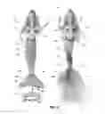 Fig. 03 - Toy doll with movable portion