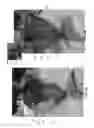 Fig. 10 - Toy doll with movable portion
