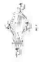 Fig. 08 - Method and apparatus for beamforming