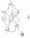 Fig. 02 - Distributed seamless roaming in wireless networks