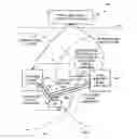 Fig. 01 - HSUPA CARRIER ACTIVATION NOTIFICATION