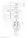 Fig. 05 - Powershift transmission for a motor vehicle and method for controlling a powershift transmission