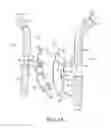 Fig. 02 - Rehabilitation Flexor