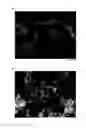 Fig. 02 - Construction material mixture, a method for producing same, and use thereof