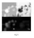 Fig. 02 - Method of preparing alloy catalyst for fuel cells and alloy catalyst for fuel cells prepared by the same