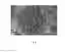Fig. 07 - Porous particles for liquid chromatography and processes for the preparation thereof