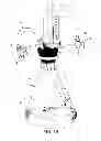 Fig. 03 - Hydrocarbons and metals induce bio-catalyst to modify development process in plants and fruits
