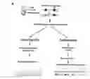 Fig. 01 - METHOD FOR MEASURING DNA METHYLATION PROFILES