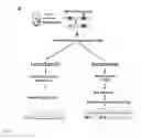 Fig. 02 - METHOD FOR MEASURING DNA METHYLATION PROFILES
