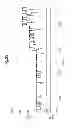 Fig. 19 - FORMATION OF LAYERS OF AMPHIPHILIC MOLECULES