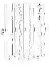 Fig. 23 - FORMATION OF LAYERS OF AMPHIPHILIC MOLECULES