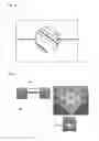 Fig. 05 - Systems and methods for high efficiency electronic sequencing and detection