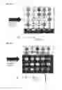 Fig. 18 - Systems and methods for high efficiency electronic sequencing and detection