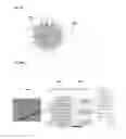 Fig. 48 - Systems and methods for high efficiency electronic sequencing and detection