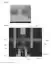 Fig. 60 - Systems and methods for high efficiency electronic sequencing and detection