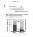 Fig. 03 - METHODS OF ISOLATING RNA AND MAPPING OF POLYADENYLATION ISOFORMS